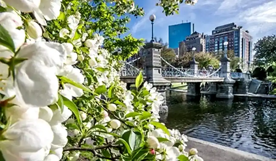 best hotels in boston revolution hotel